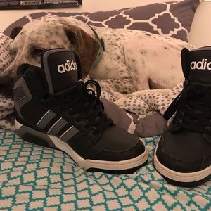 Monotone Adidas (Dog not included)